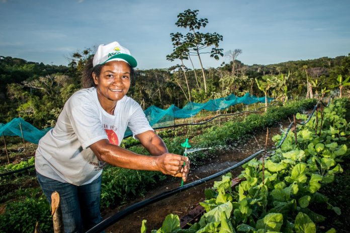 Agricultores Familiares J Podem Aderir Ao Garantia Safra