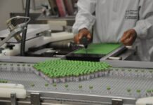 Novo carregamento de IFA