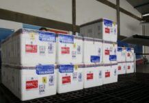 Bahia recebe 431 mil doses de vacina