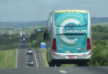 Transporte intermunicipal será suspenso durante o São João