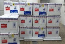 Primeiro lote de vacinas da Janssen chega ao Brasil