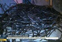 Furto e roubo a cabos de rede de telecomunicações seguem em alta