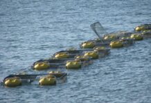 Bahia Pesca disponibiliza online curso gratuito de piscicultura