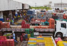 Audiência pública do Projeto de Concessão da Ceasa é adiada para 16 de setembro