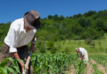 Produtores rurais têm até 30 de novembro para regularizar dívidas