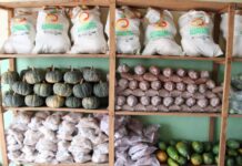 Na Bahia, PAA garante alimentação para mais de 200 mil famílias em 2021