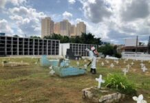 Bahia e Salvador tiveram recorde de mortes em 2020, aponta IBGE