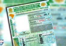 Brasil terá nova Carteira de Motorista em 2022