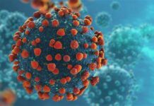 Ainda não se pode afirmar que é a Ômicron que está contaminando os sebastianenses