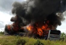 Motoristas de dois ônibus de uma mesma empresa morrem em acidente