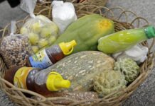 Governo da Bahia investe mais de R$ 300 milhões no fortalecimento da agricultura familiar