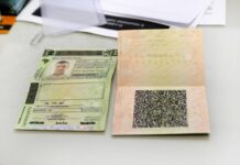 SAC Digital agiliza processo de renovação da CNH