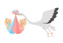 A “cegonha” chegou trazendo Alice e Cecília