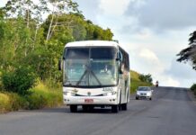 Pesquisa de mobilidade será realizada nas regiões metropolitanas de Salvador e Feira de Santana