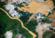 PF faz diligência na terra indígena e aponta um yanomami morto e outro ferido por garimpeiro