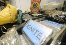 Operação conjunta entre Polícia Militar e Polícia Federal da Bahia apreende R$ 30 milhões em cocaína