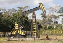 Mais quatro campos de petróleo interditados são liberados
