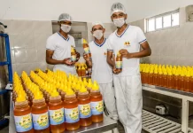 Agricultura familiar ganha destaque na Super Bahia 2023; evento começa nesta terça-feira (11), em Salvador