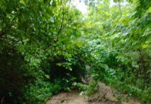 Estrada que liga Estação Almeida à Barroquinha e Pedras está em condições lastimáveis