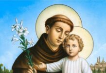 Fiéis se preparam para celebrar Santo Antônio