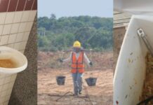 BYD envia à China funcionários envolvidos nas denúncias de exploração trabalhista