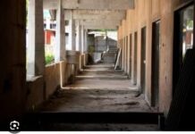 A farsa dos predadores