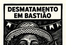 Desmatamento em Bastião