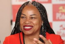 Renovação da frota na Alba