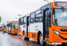 Prefeitura apresenta ônibus do sistema emergencial de transporte público