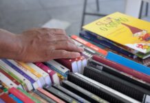 Fundação Pedro Calmon lança edital REDA com 49 vagas para níveis médio e superior